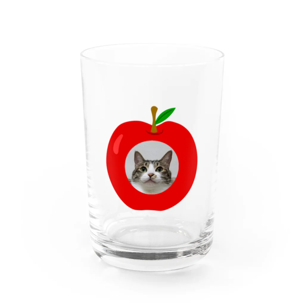 erumaのりんご猫II Water Glass :front