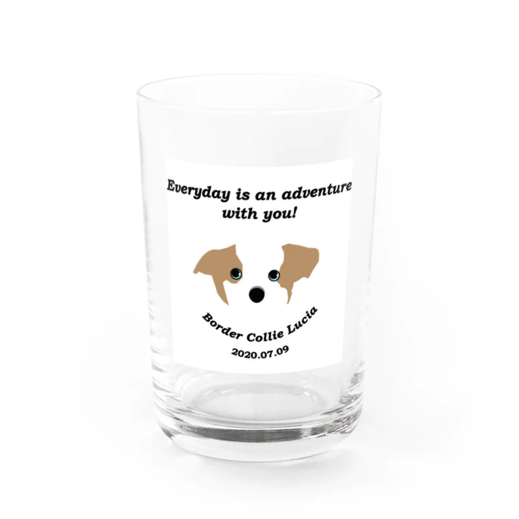Bordercollie StreetのHappy LUCIA Water Glass :front
