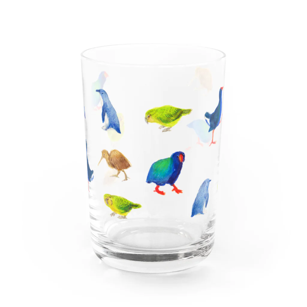 segasworksのニュージーランドのトリ Water Glass :front