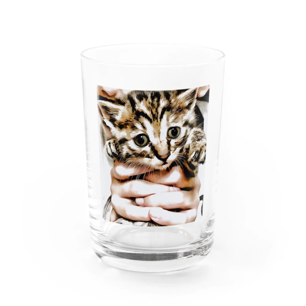 progress⭐️の猫ちゃん Water Glass :front
