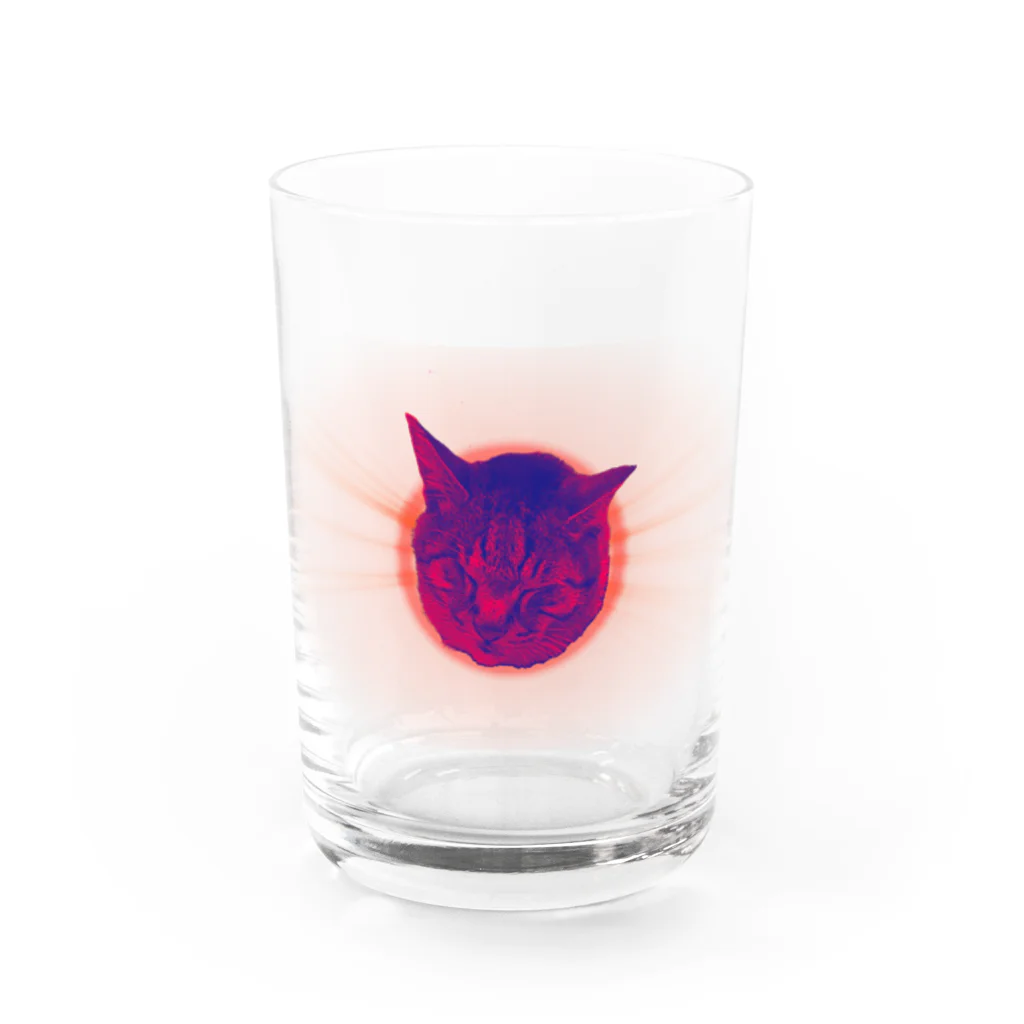 りのりのザウルスのThe cat sleep safely in space. Water Glass :front