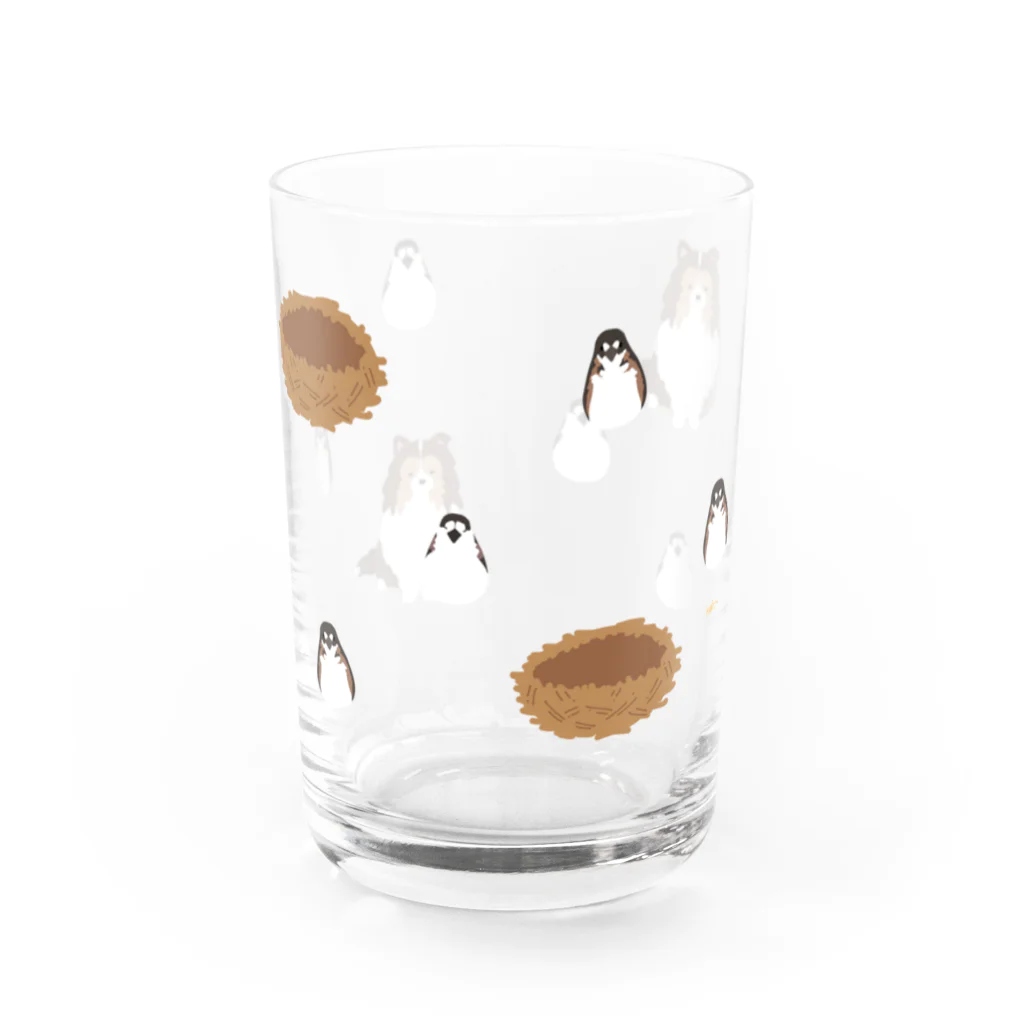 Kotetsu diary(SUZURI店)のシェルティ×十姉妹 Water Glass :front