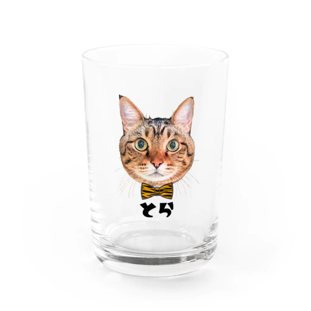 CAT CROWNのまんまる寅次郎 Water Glass :front