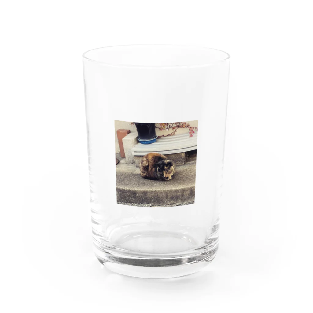 neko_00_nekoの明石の漁師町にいたサビ猫さん Water Glass :front