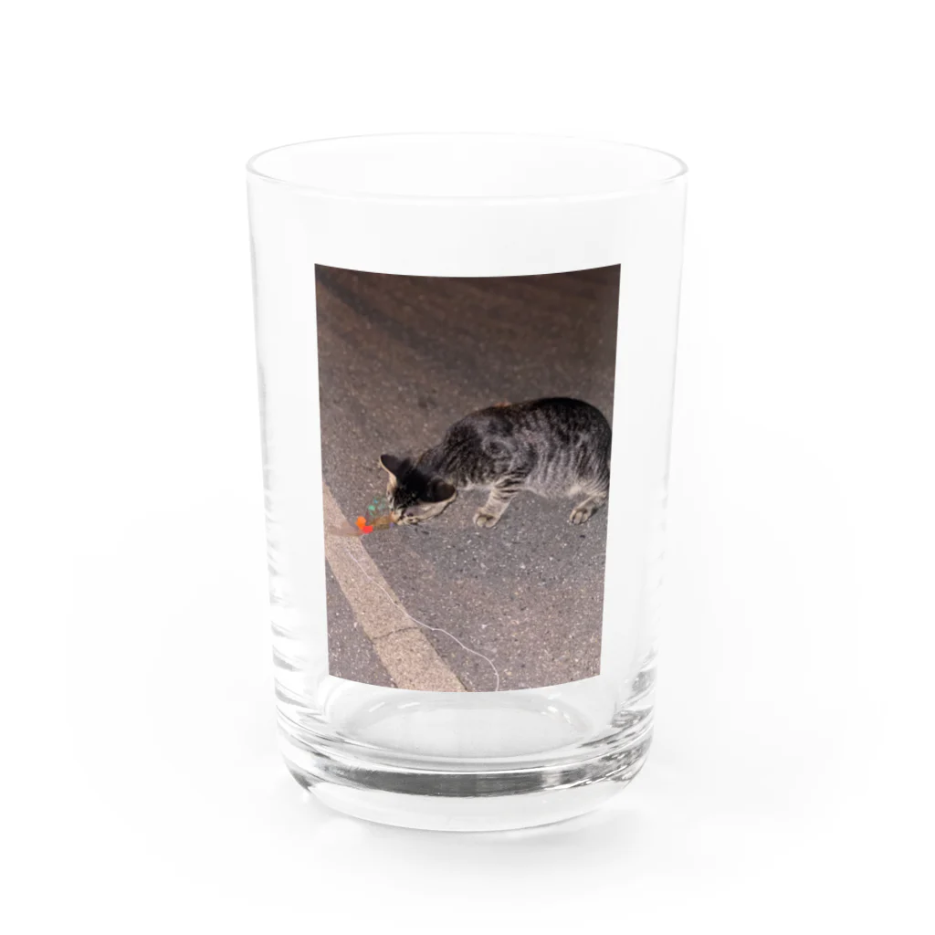 neko_00_nekoの猫さん Water Glass :front