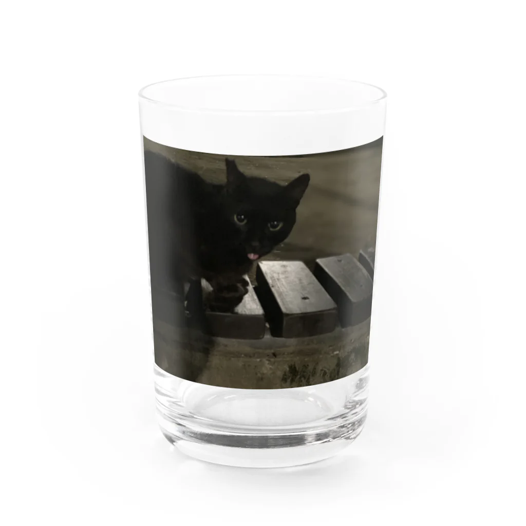 neko_00_nekoの黒猫さん Water Glass :front