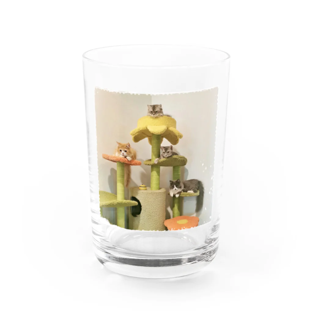 yumi81japanのシンプルな幸せ Water Glass :front