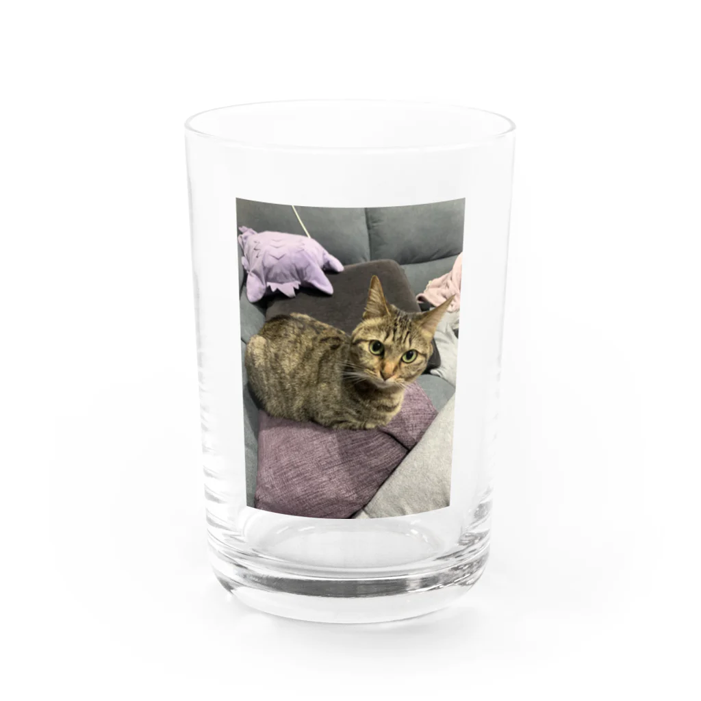 磯野dopeカツオのわかめ Water Glass :front