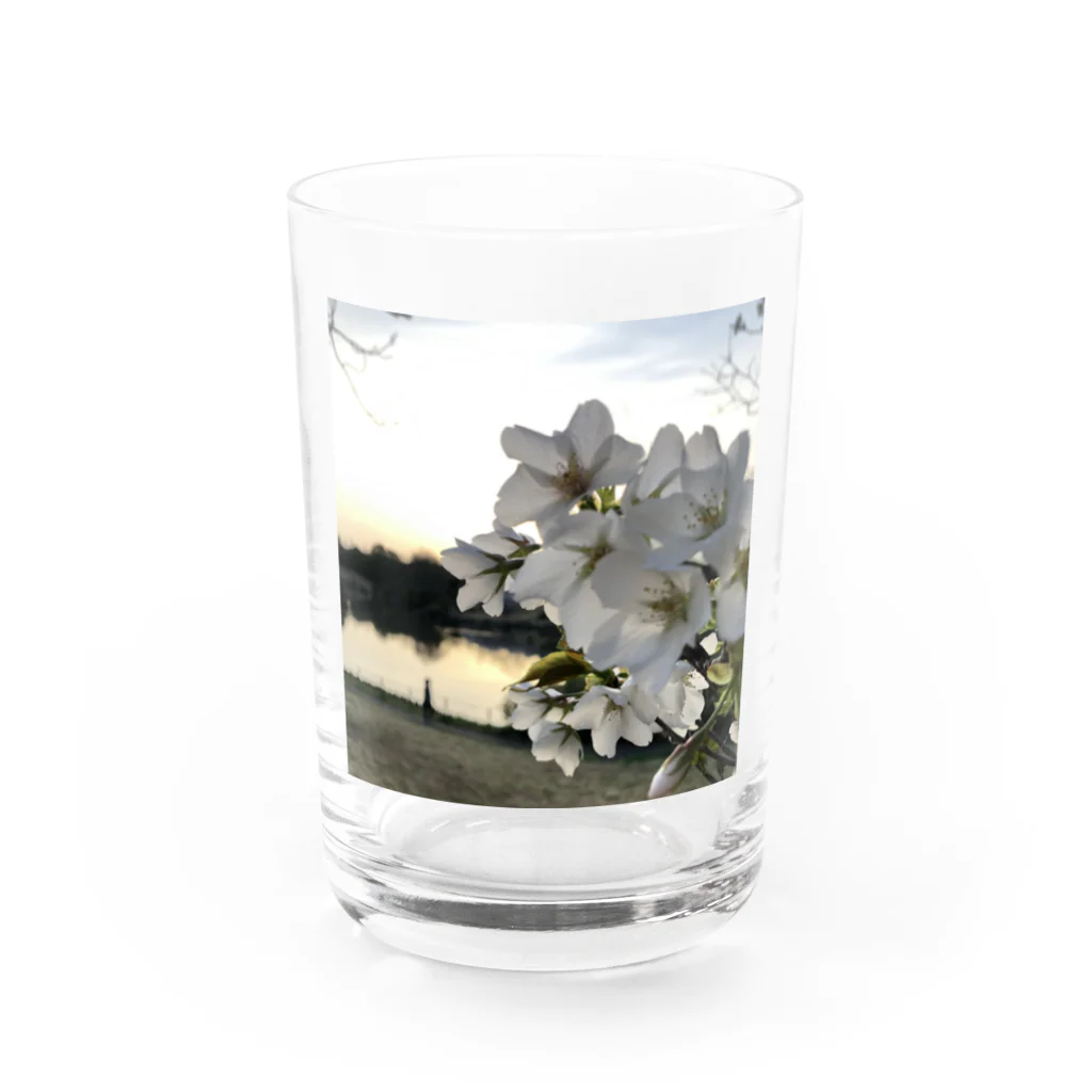 №820の№820 Water Glass :front