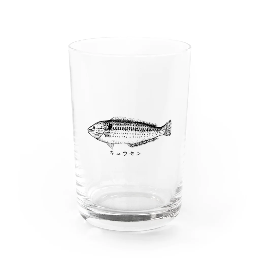 osakanayaのキュウセン♂ Water Glass :front