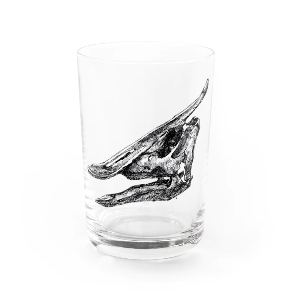 segasworksのサウロロフスの頭の骨 Water Glass :front