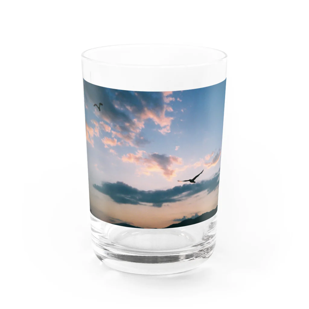 sheep-sの夕焼けと鳥 Water Glass :front