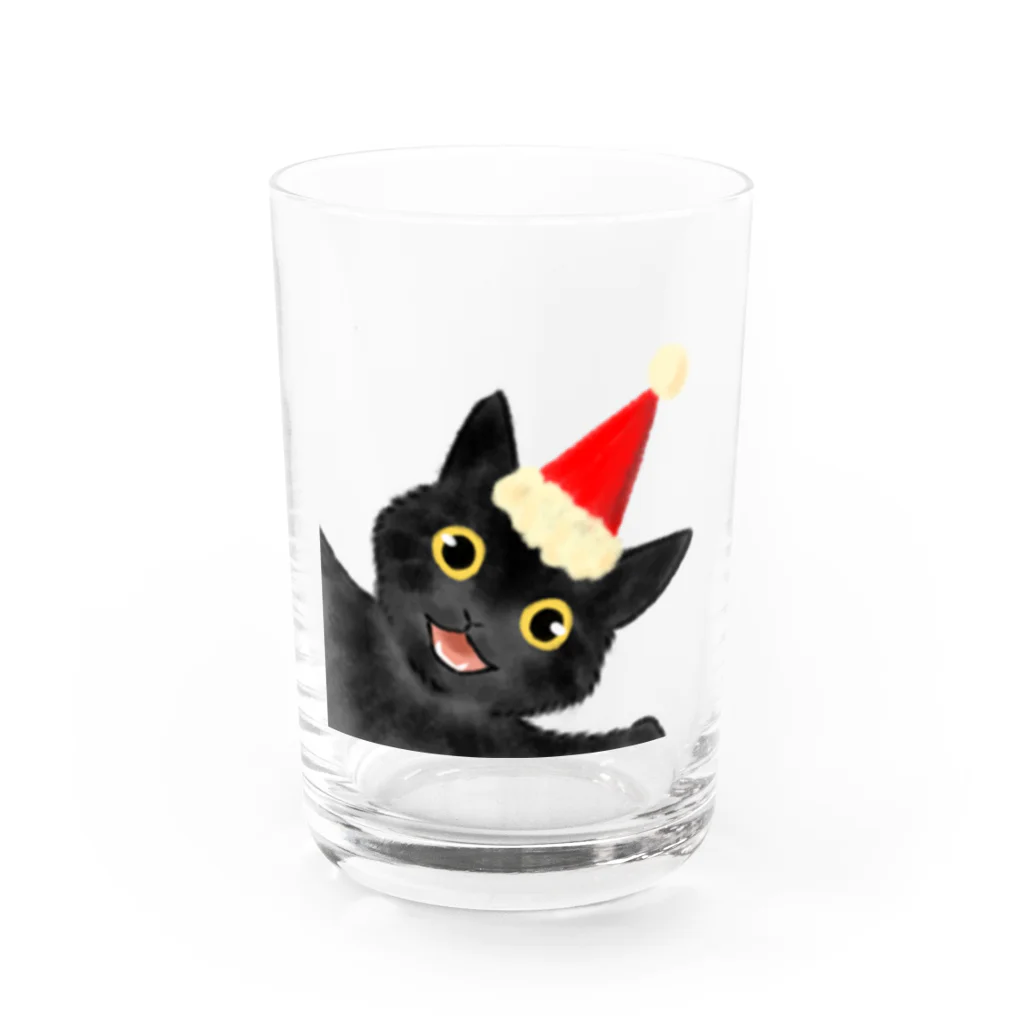 SHOP ベアたんの黒猫のやまとくん Water Glass :front