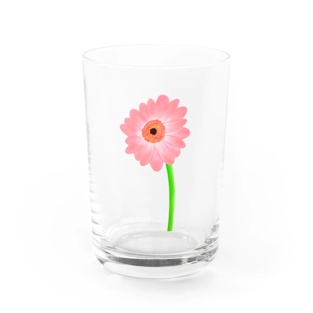 Lily bird（リリーバード）の桃色ガーベラ１輪 Water Glass :front