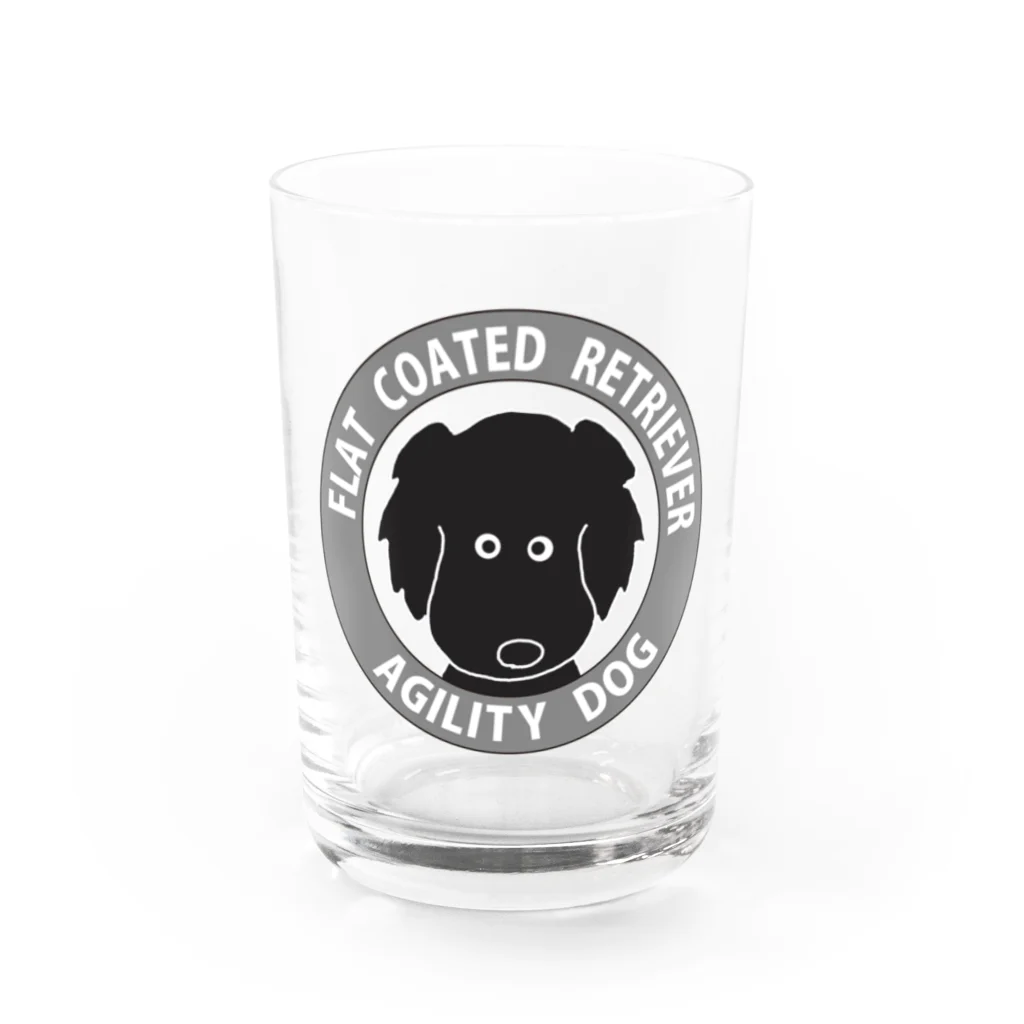 DOGS ISLANDのアジリティドッグ４ Water Glass :front