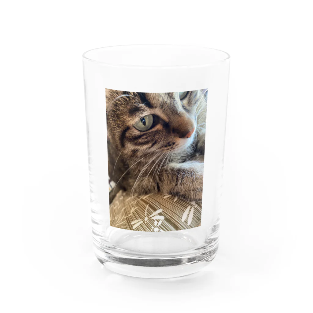 ロザちゃんのしあわせのしあわせ届けるロザ Water Glass :front