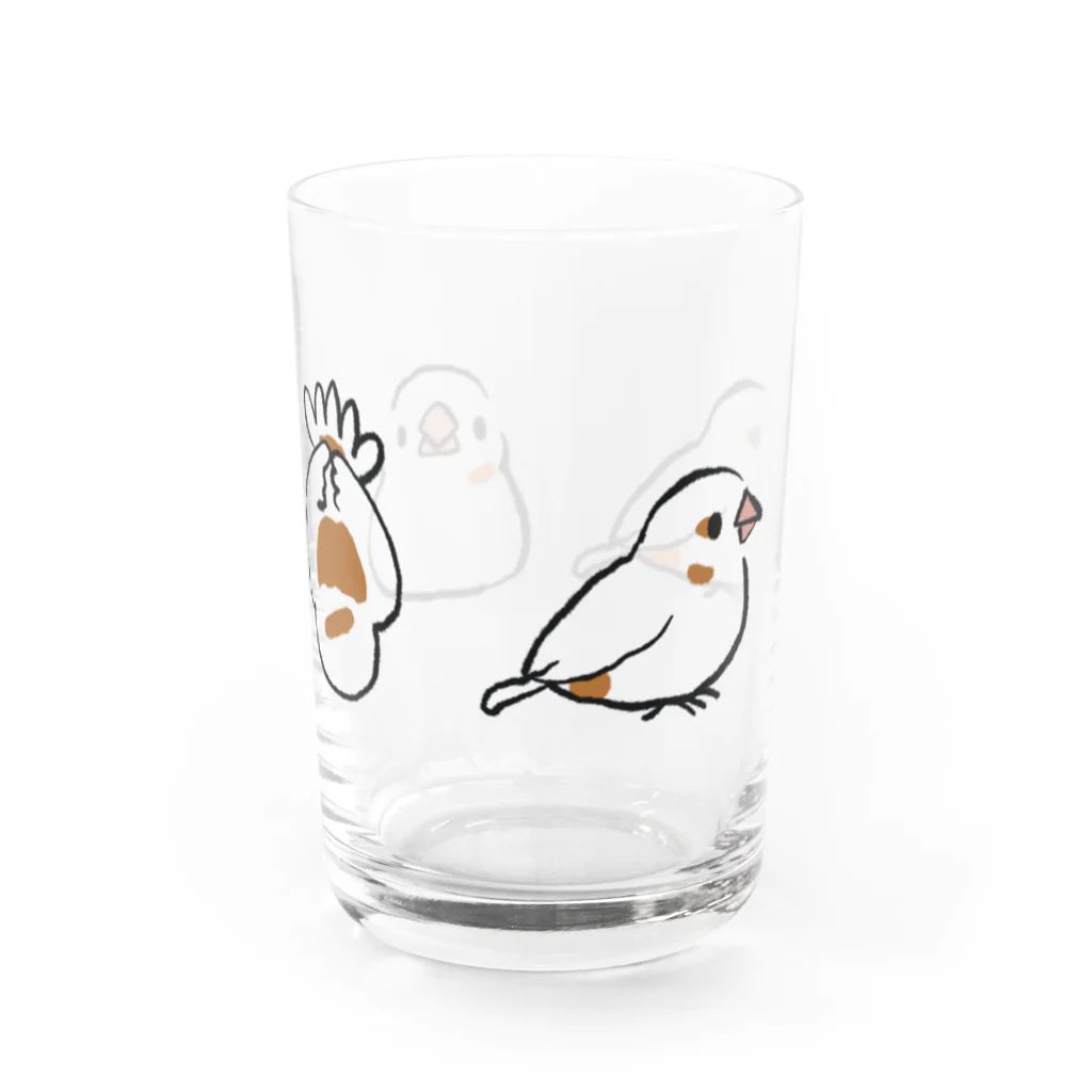 ほほらら工房 SUZURI支店のじゅうしまつ見取り図 Water Glass :front