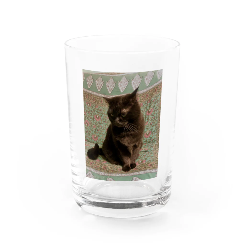 M家のネコたち。のふぅ。 Water Glass :front