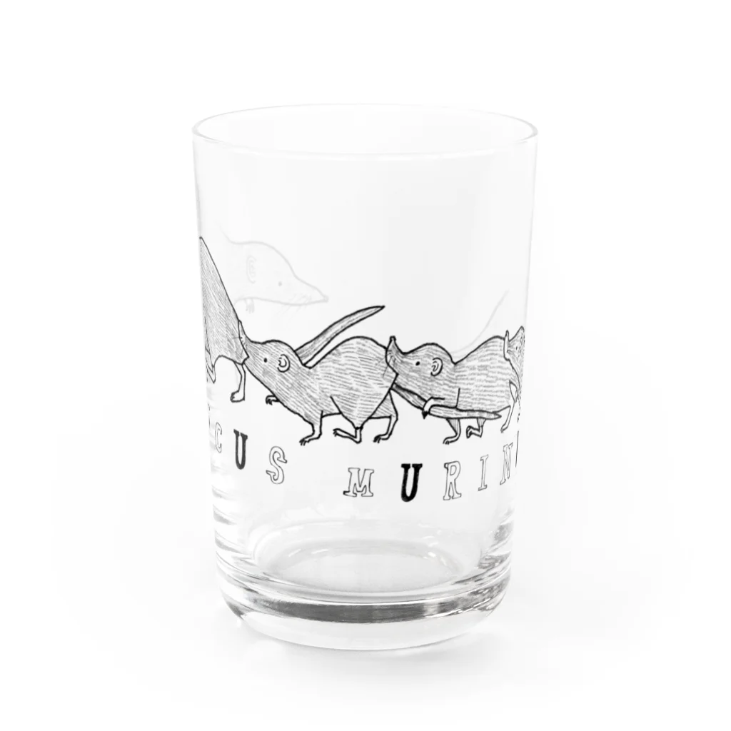 どんすけのSuncus murinus Water Glass :front