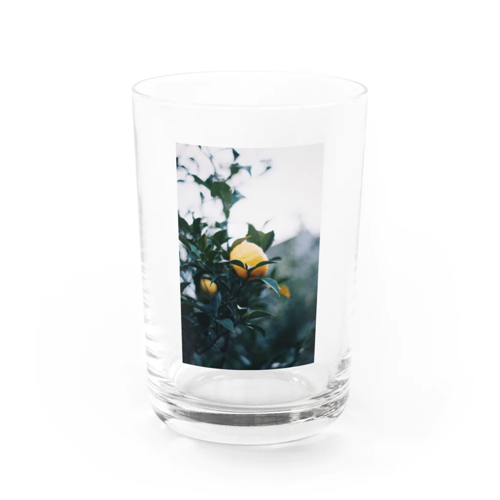 monの檸檬ちゃん Water Glass :front