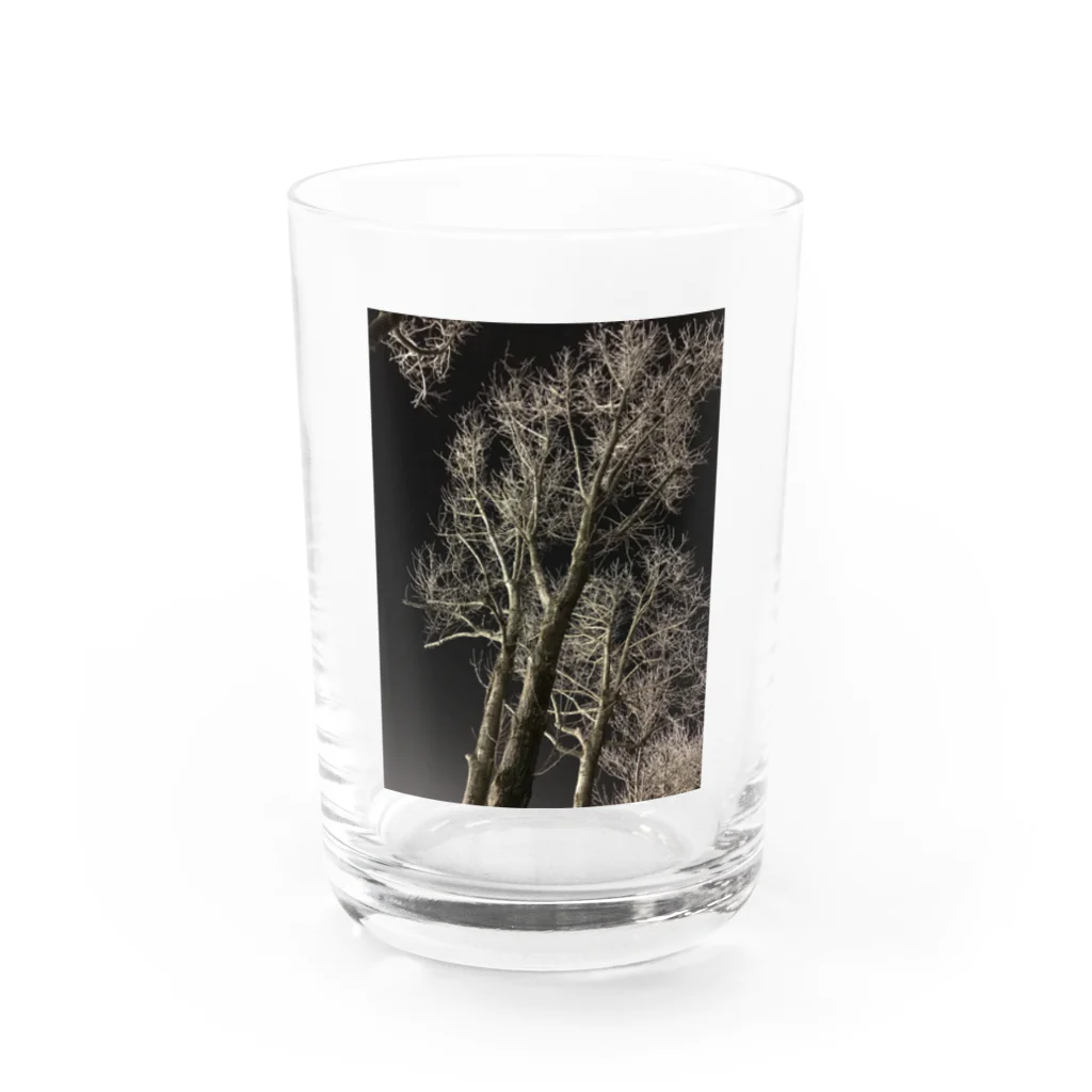 空屋　sorayakusakaの202001121944000　夜の樹木 Water Glass :front