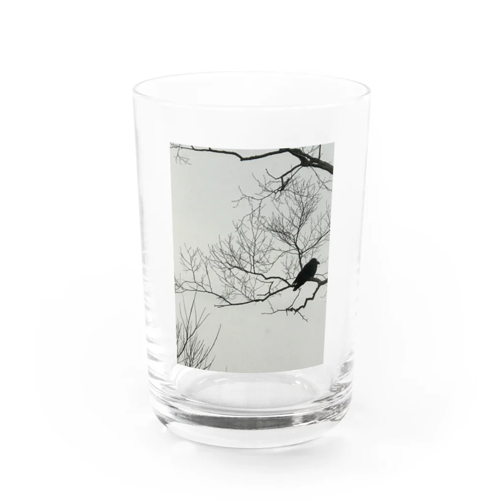 空屋　sorayakusakaの202012300958002　寒烏 Water Glass :front