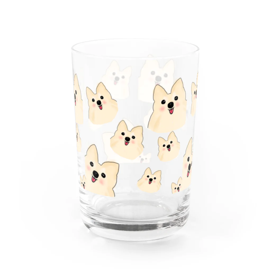 nanochaのポメラニアンのの Water Glass :front