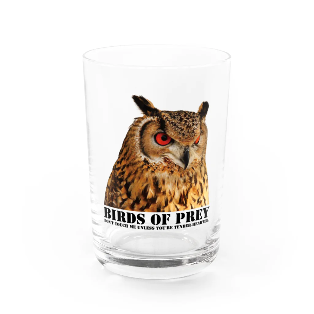 有限会社サイエンスファクトリーのBIRDS OF PREY ベンガルワシミミズク Water Glass :front