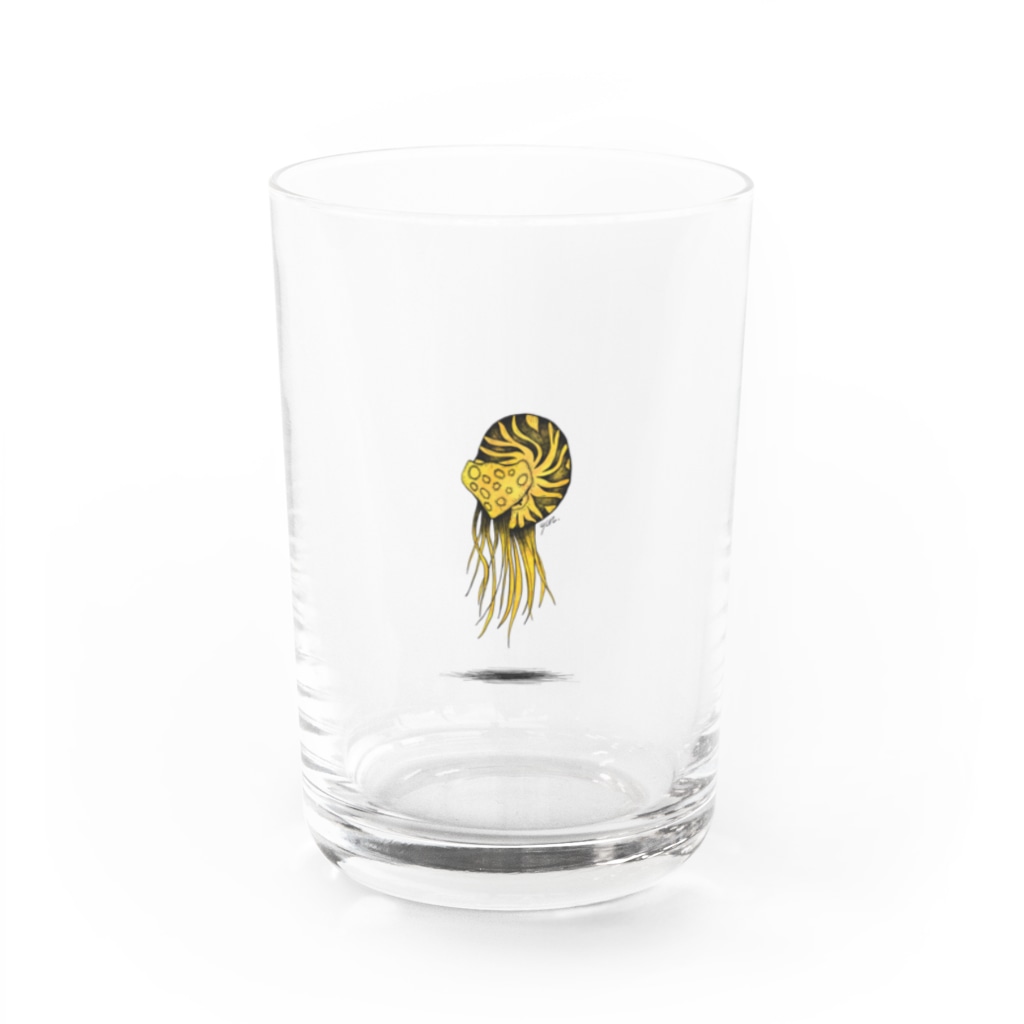 樹源 ‐ KiGen ‐のTiger Nautilus 2022. Water Glass :front