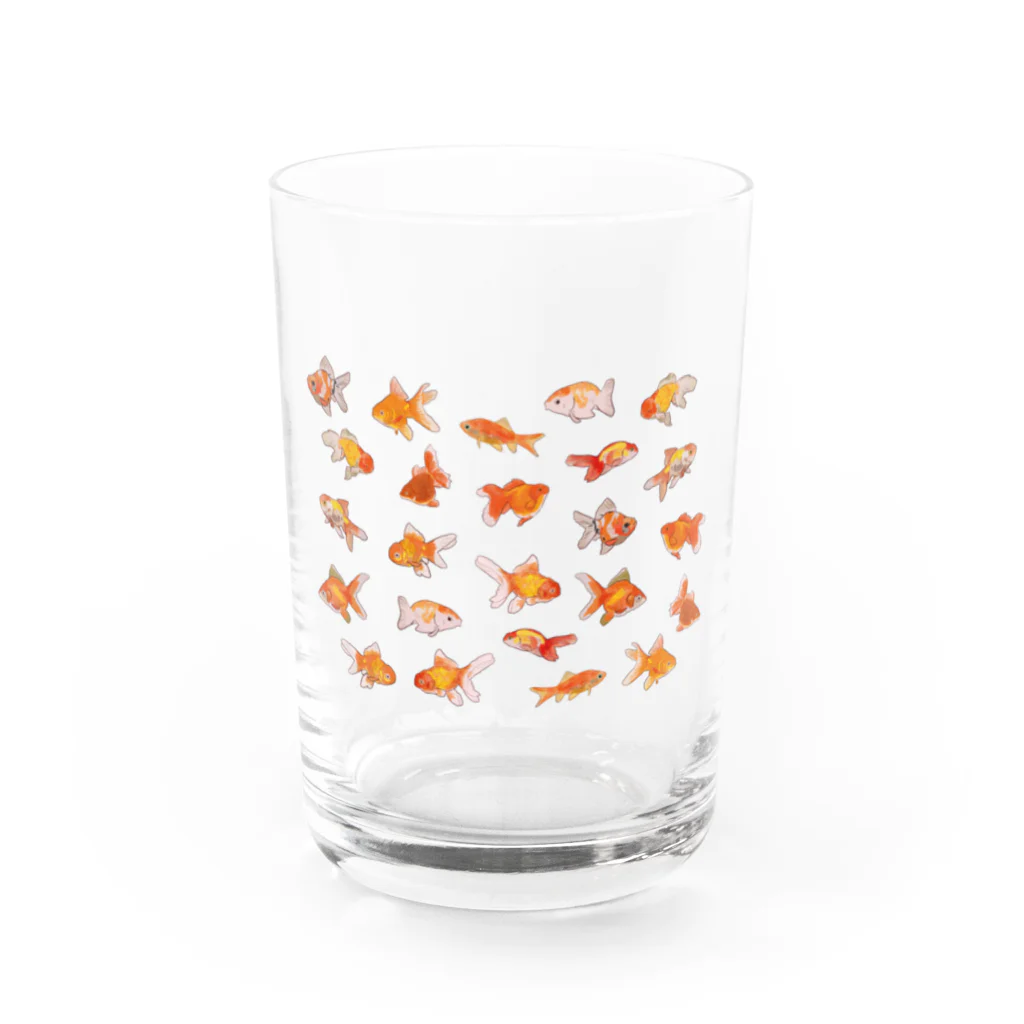 puikkoの金魚集合 Water Glass :front