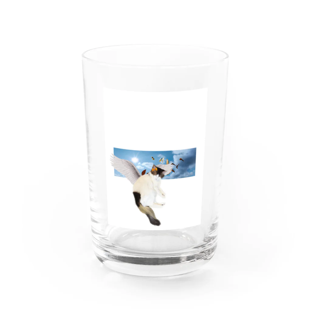 momo_emiの2022 猫 Water Glass :front