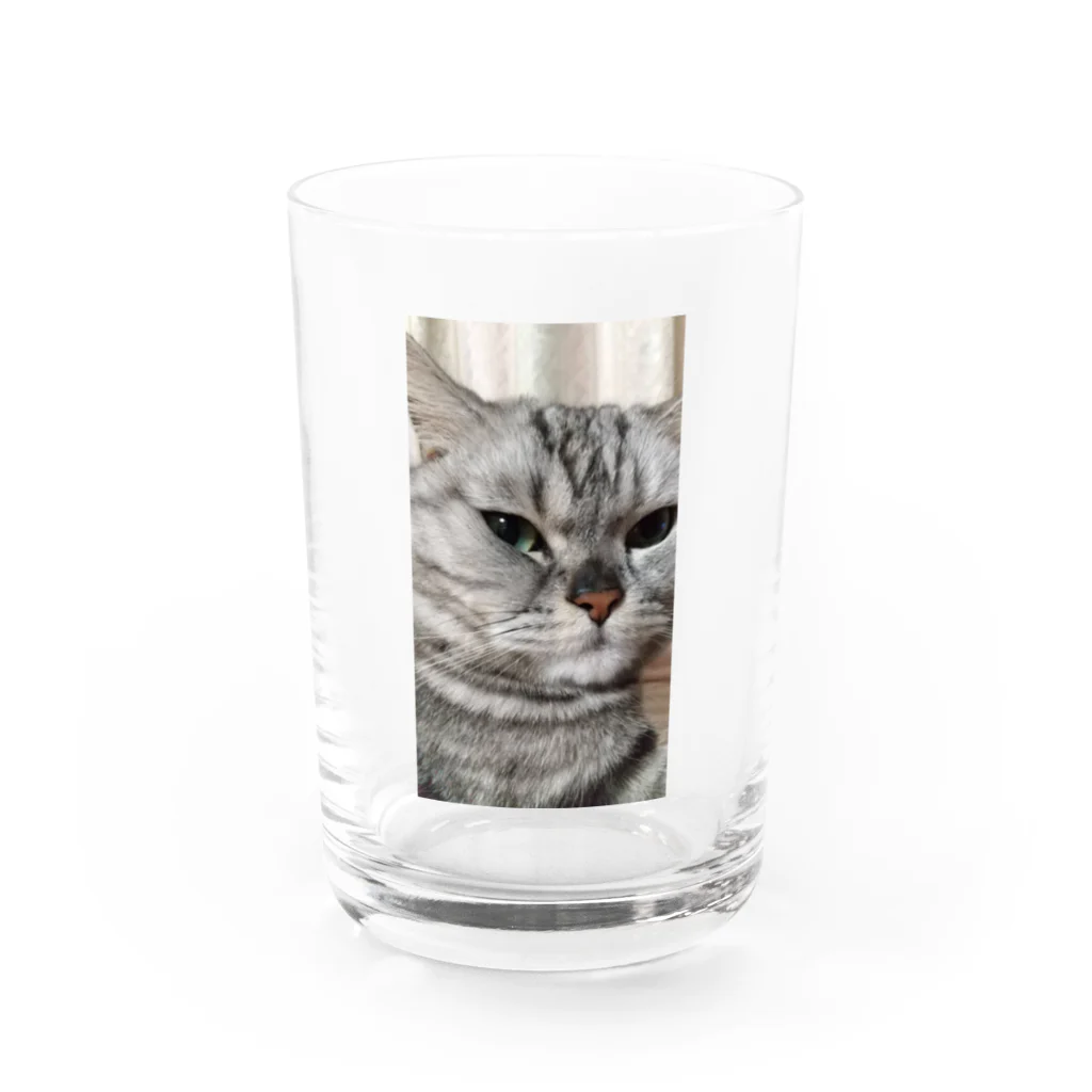 飼い主の2枚目俳優 Water Glass :front