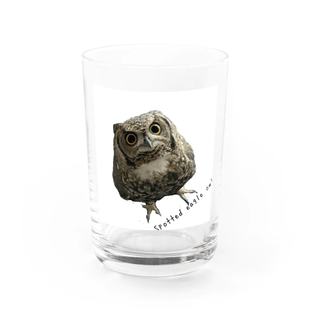 いおりとチャンネル🦉のいお・りとチャンネル🦉ふくろう柄 Water Glass :front