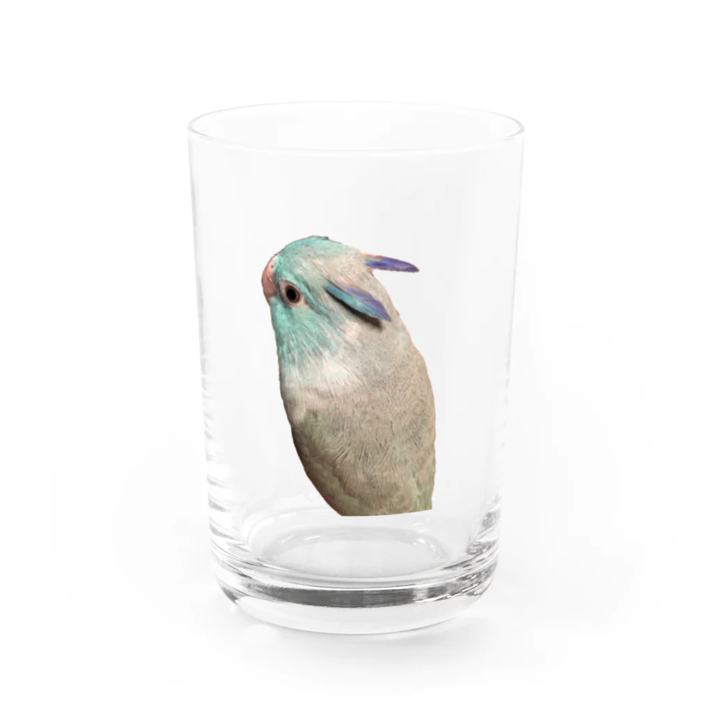 マメルリハグッズショップのマメルリハのゆき Water Glass :front