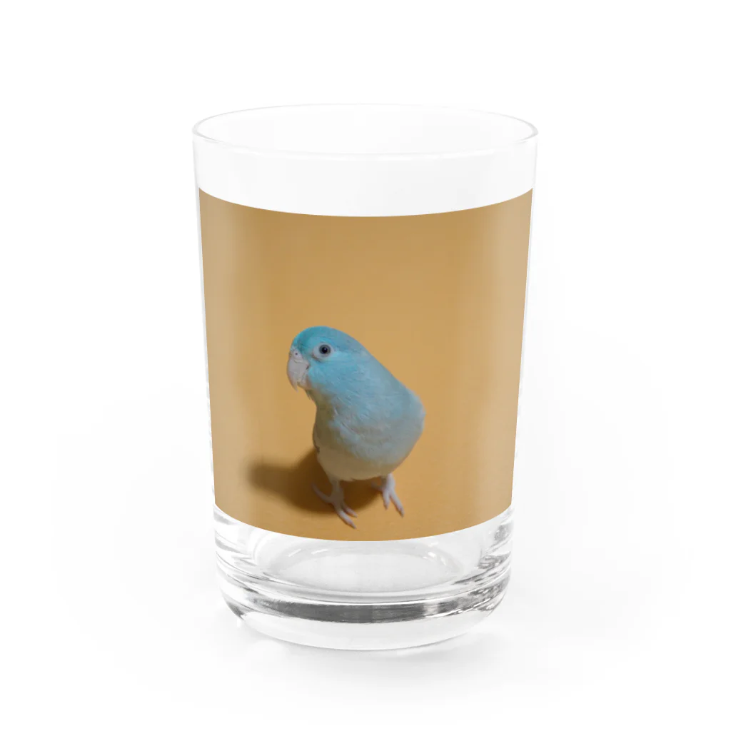 マメルリハグッズショップのマメルリハのゆき Water Glass :front