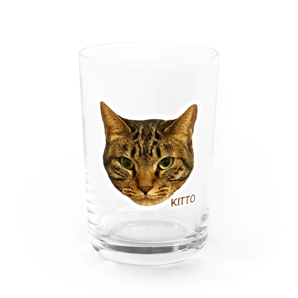 猫カフェ ぶぅたんグッズショップの絵文字キトくん グラス前面