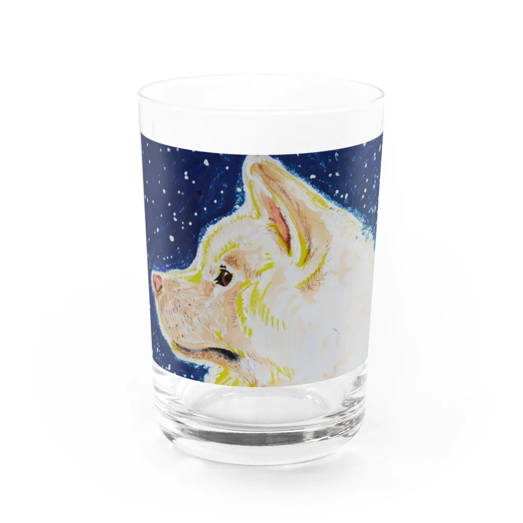 カンノユカの秋田犬のケンシロウ Water Glass :front