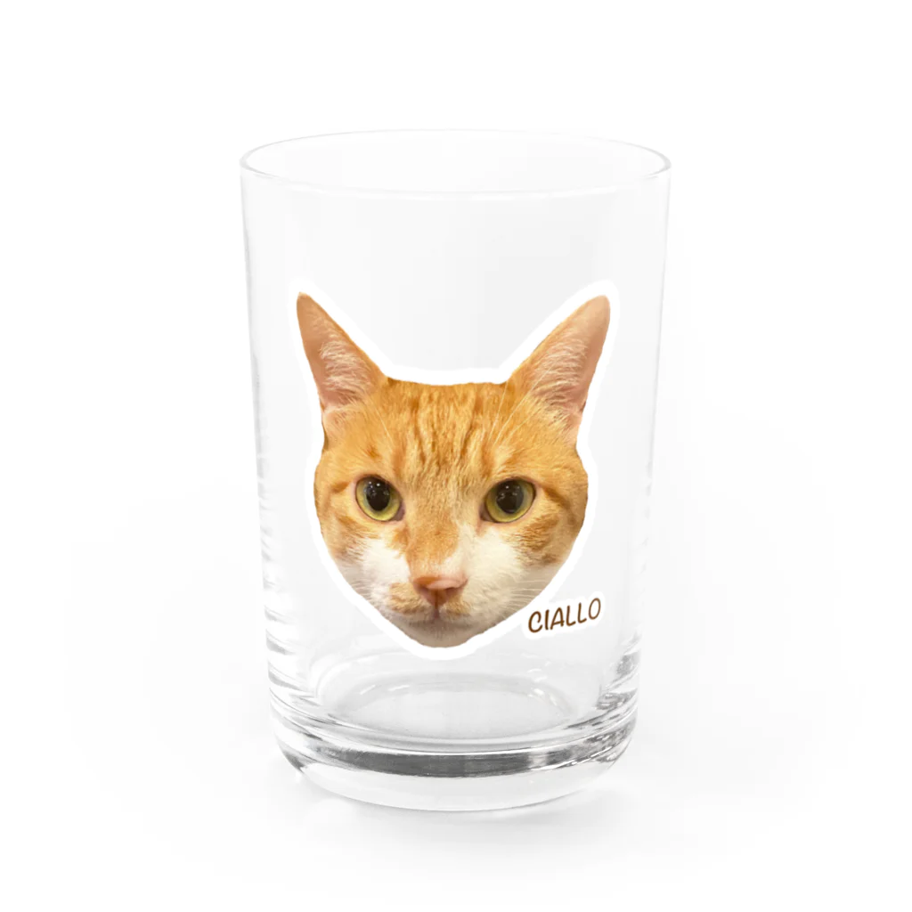 猫カフェ ぶぅたんグッズショップの絵文字チャロさん Water Glass :front