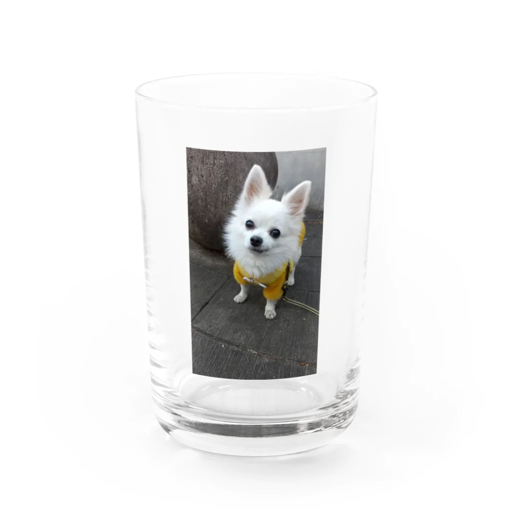 𝓣𝓪𝓴𝓾3000のレオくんシリーズ2 Water Glass :front