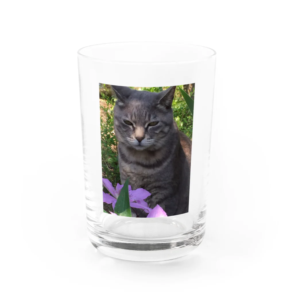 くすくすの森のポチしちゃいなよ...ﾌｯ... Water Glass :front