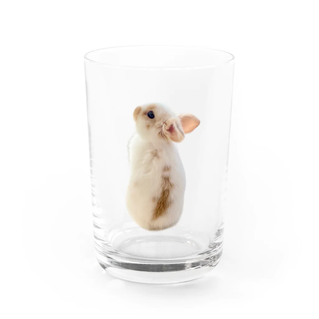 【うさぎ】いのかむきぃたんグッズの【うさぎ】ベビかむくんグッズ Water Glass :front