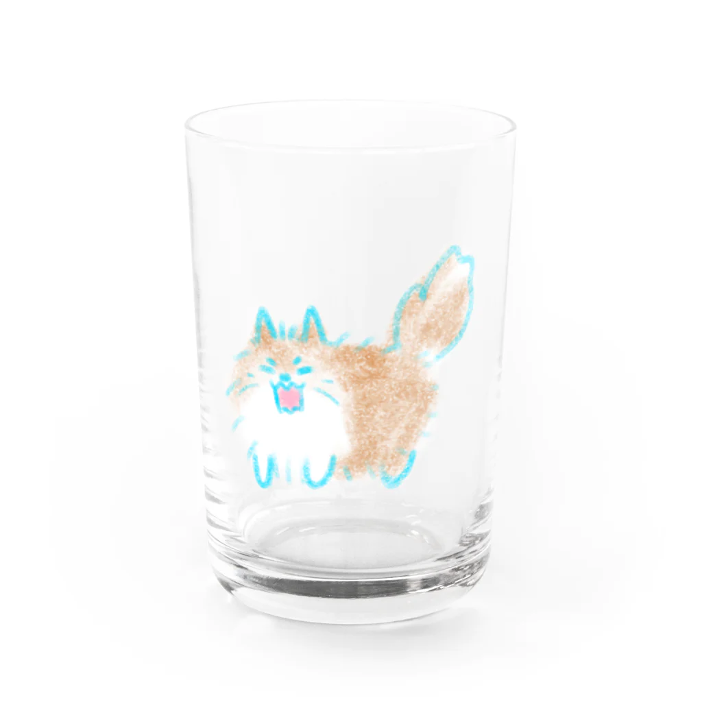 うなのご立腹ポメラニアン Water Glass :front