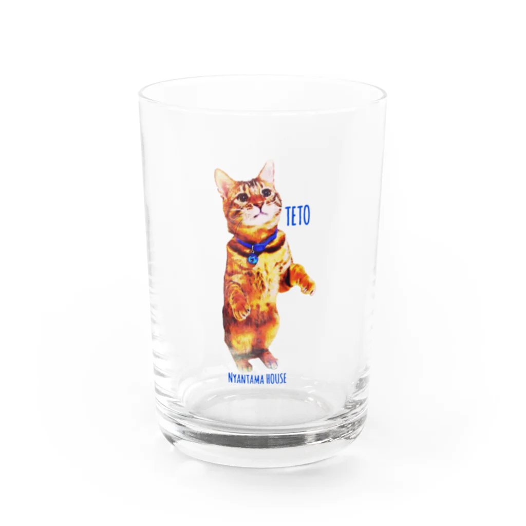 にゃんたまHOUSEのテトシルエット Water Glass :front