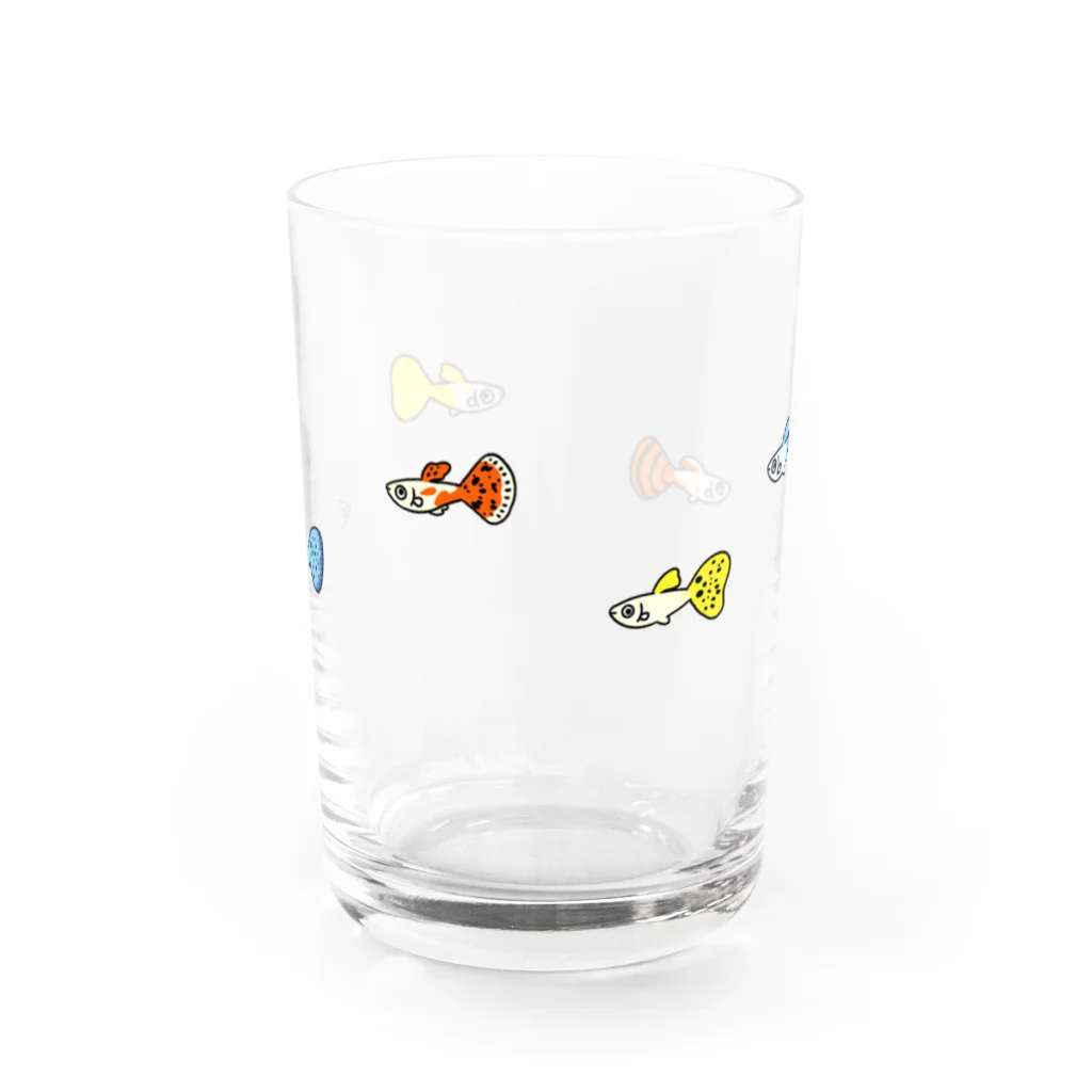 よなよなこうもりのグッピー Water Glass :front