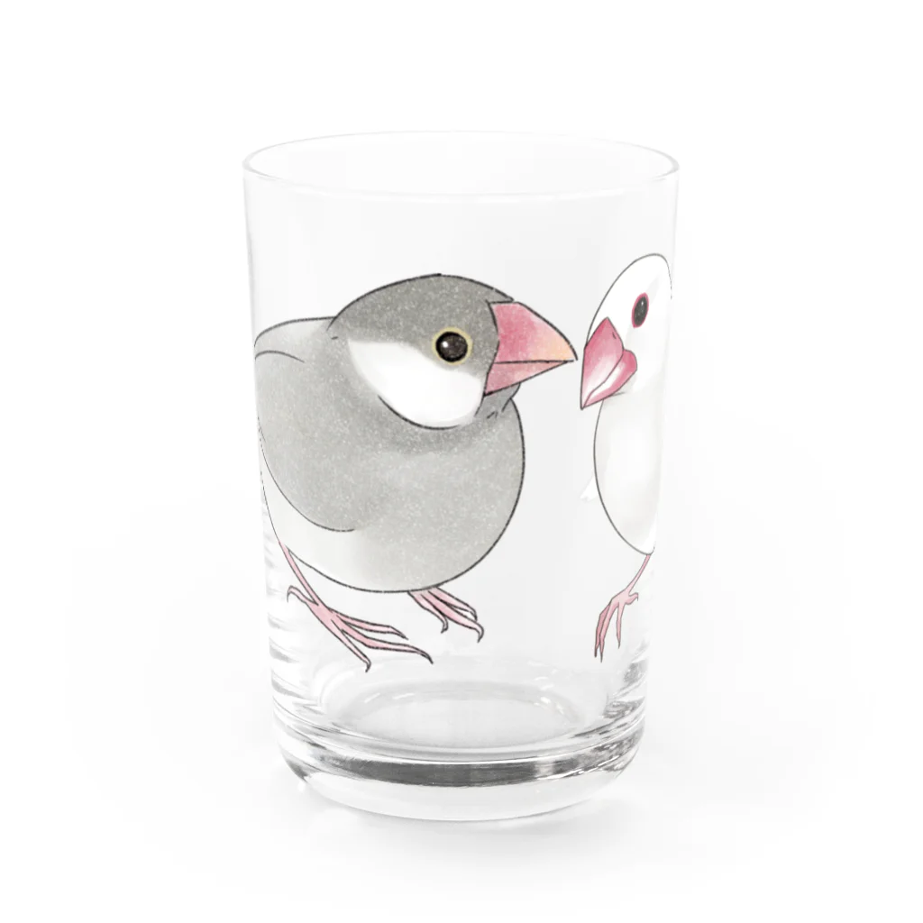 まめるりはことりの幸せ文鳥ちゃん【まめるりはことり】 Water Glass :front