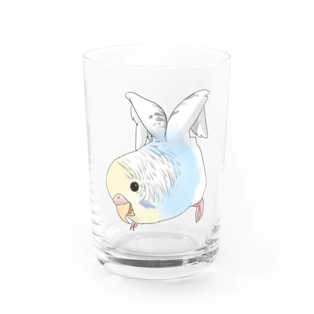 まめるりはことりのご機嫌羽セキセイインコちゃん【まめるりはことり】 Water Glass :front