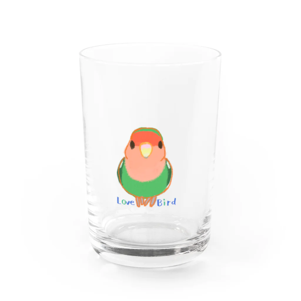 小桜森のコザクラインコ（ノーマル） Water Glass :front