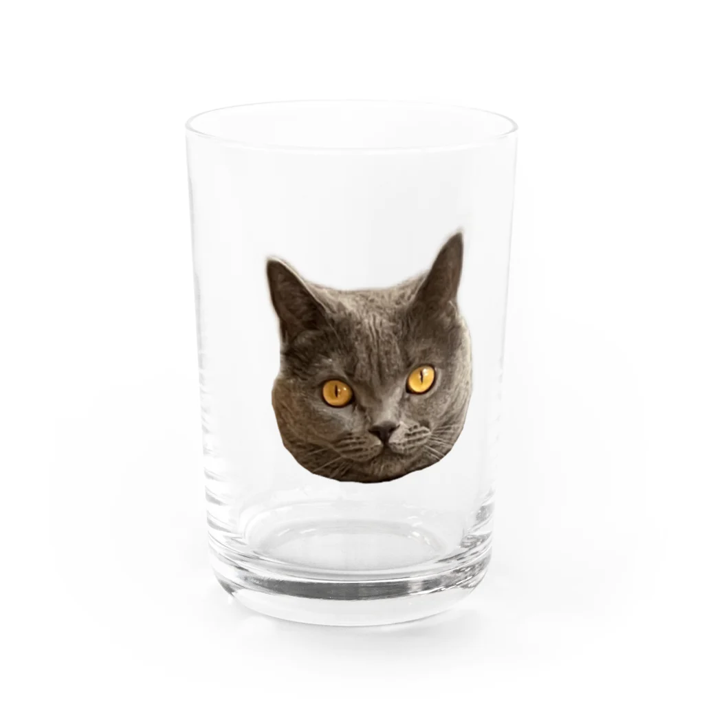 まっかっけいこ@LINEスタンプ販売中のお顔アップもあたん Water Glass :front