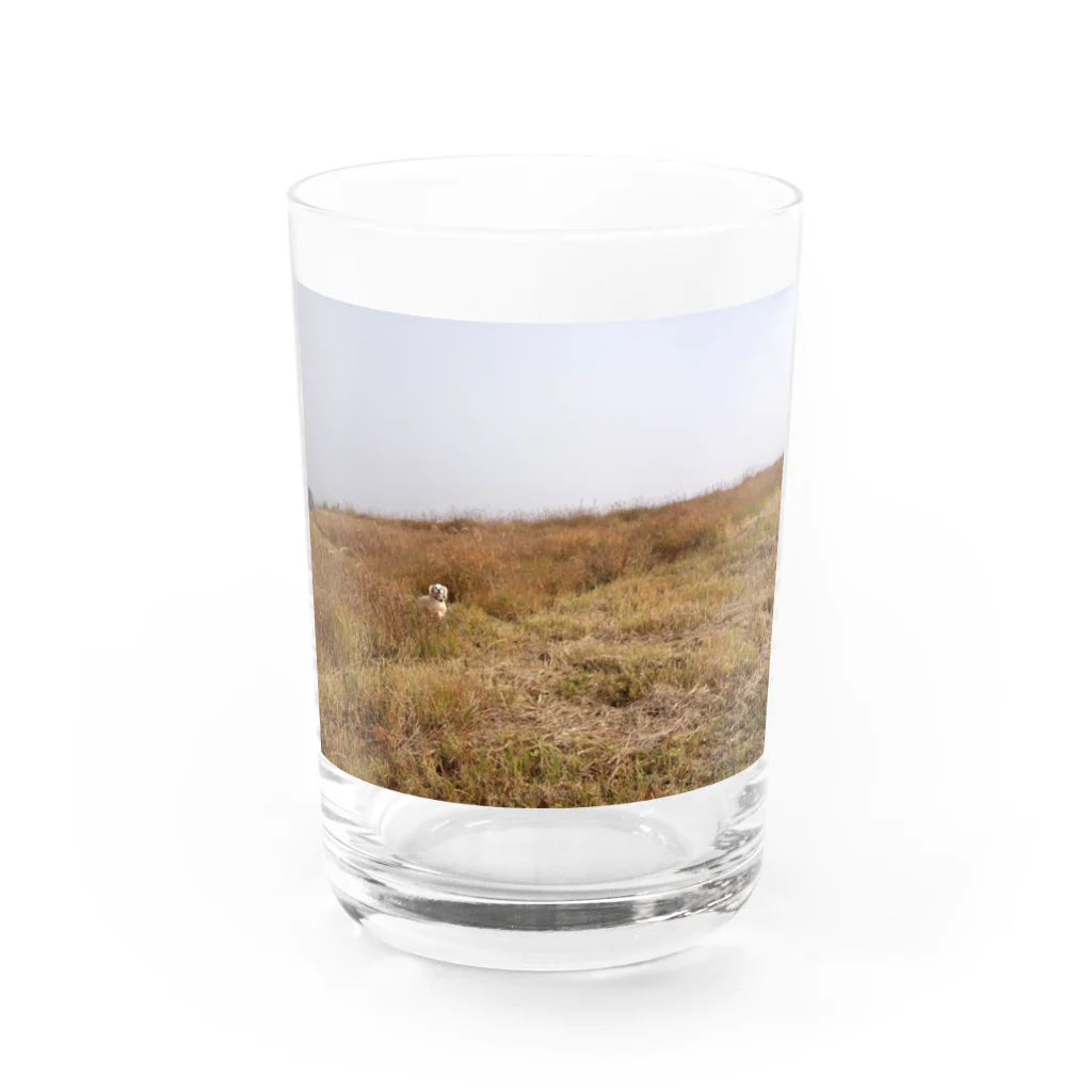 ルー・ルーニのアメコカのルーちゃん Water Glass :front