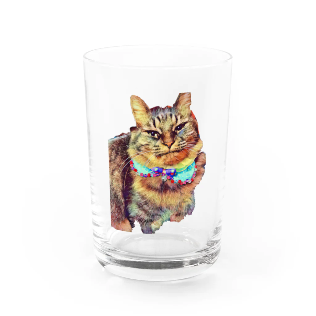 GreenLifezの猫の月見ちゃん Water Glass :front